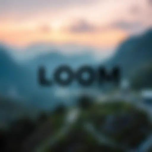 Loom Network logo illustrating its brand identity